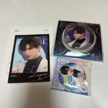 레이 포토 카드 캔뱃지 스티커 세트