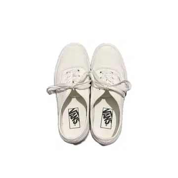 23.5 vans 오센틱