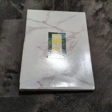 THE ALFEE 10번째 여름 팜플렛