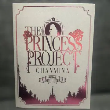 chanmina THE PRINCESS PROJECT FINAL