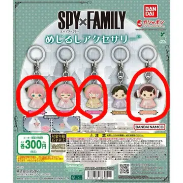 SPY x FAMILY 메지루시 액세서리 4개 세트