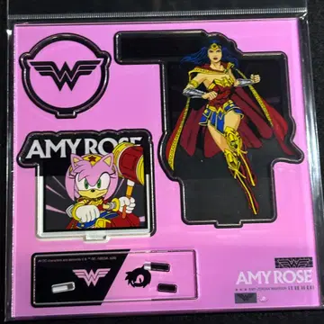 TGS DC SONIC 소닉 아크릴 스탠드 에이미 로즈