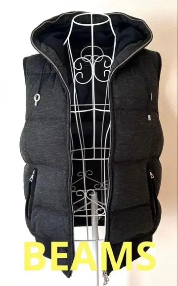 BEAMS 다운 베스트