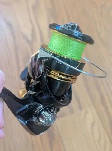 다이와 23 레가리스 LT2500D