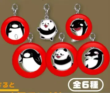 테이코펭귄 테이펜구이 참 세미컴프