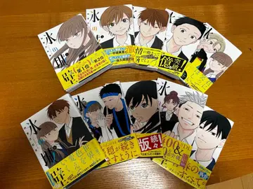 얼음 성벽 1-10권 세트