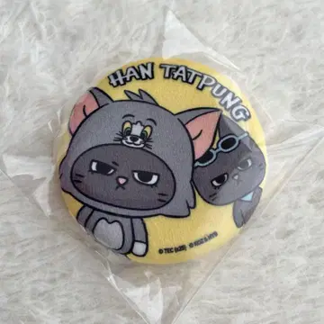 BOYNEXTDOOR 푸넥도 테산 테푼 캔뱃지