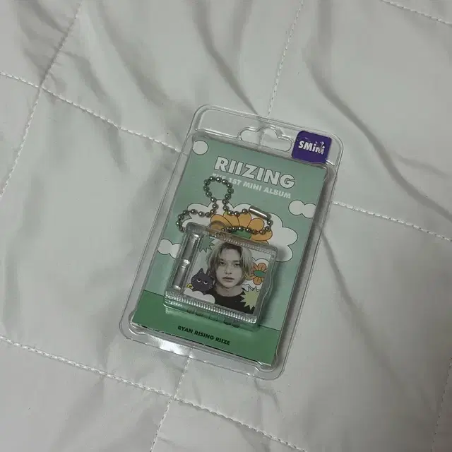 라이즈 원빈 스미니 슴미니 앨범