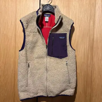 PATAGONIA M's Classic Retro-X Vest 베이지