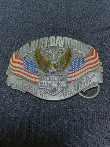 할리데이비슨 버클