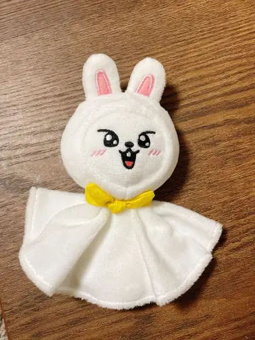 스키즈 리 비트 테루테루보즈