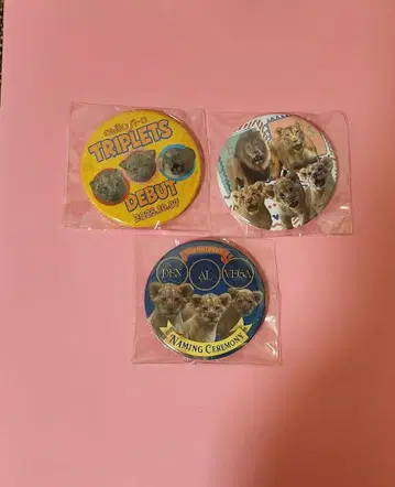 논호이 파크 한정 사자 아기 캔뱃지 3개 세트