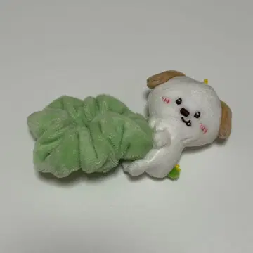 riize 앤톤 몽룡이 스크런치