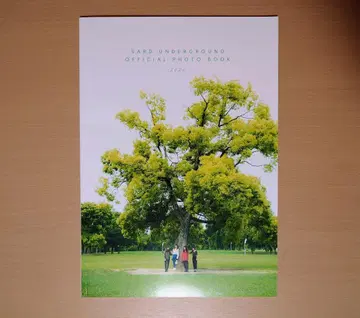 SARD UNDERGROUND OFFICIAL PHOTO BOOK2020
