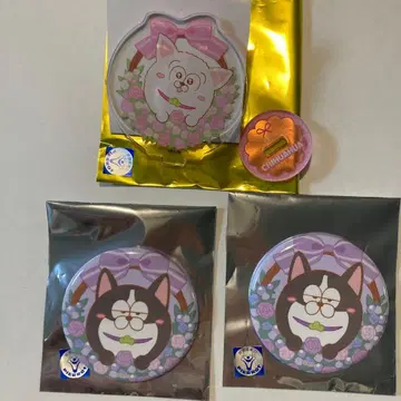 마츠이누 3개 세트