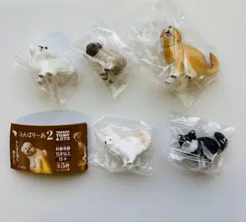 [ 5종 세트 ] 펀바리누 2 시크릿 없음