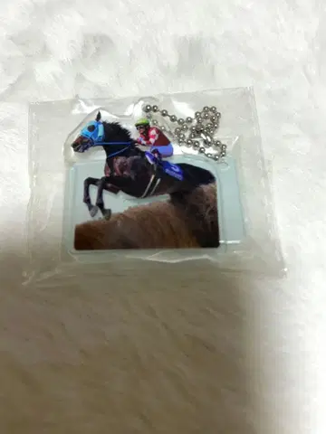 신세기 명마 아크릴 스탠드 피규어 오주우쵸산