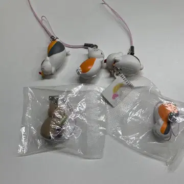 나츠메 우인장 냥코 선생님 두서없는 스트랩 Part6 컴플리트 세트