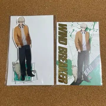 WINDBREAKER 카지 렌 마네키네코 아크릴 스탠드 금박 엽서