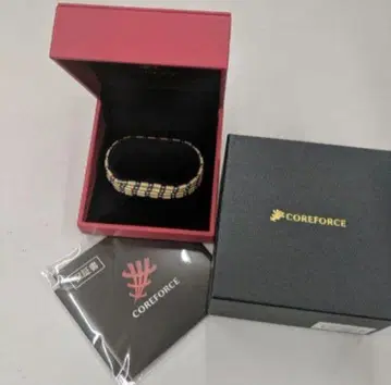 COAEFORCE LOOP SUS 샴페인 골드 70cm 정품