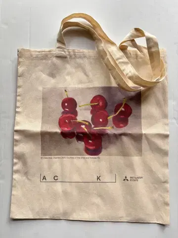 극소량 이마이 레이 토트백