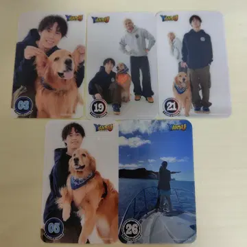 Y&U 트레이딩 카드 5장 세트