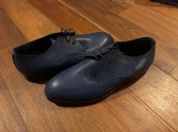 후프-데-두 파랑 가죽 신발 25.5cm