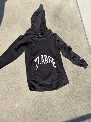 XLARGE Champion 리버스 웨이브 후디 L 사이즈 90s