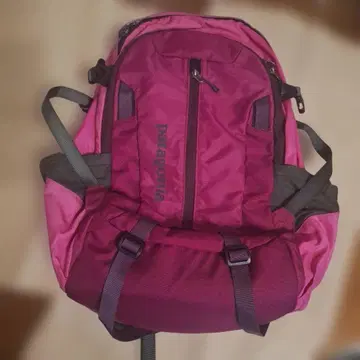 [ 파타고니아 ] 아웃도어 백팩 [ 28 리터 ] 백팩/등산/중고품