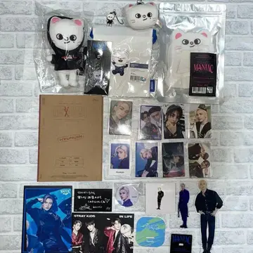 straykids 현진 세트