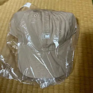 아타에 신지로 I AM WHAT I AM