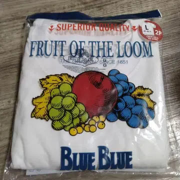 블루블루 BLUEBLUE FRUIT OF THE LOOM 화이트 T셔츠