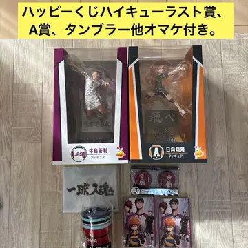 해피 복권 하이큐 라스트상 우시지마, A상 히나타 외 증정품 포함.