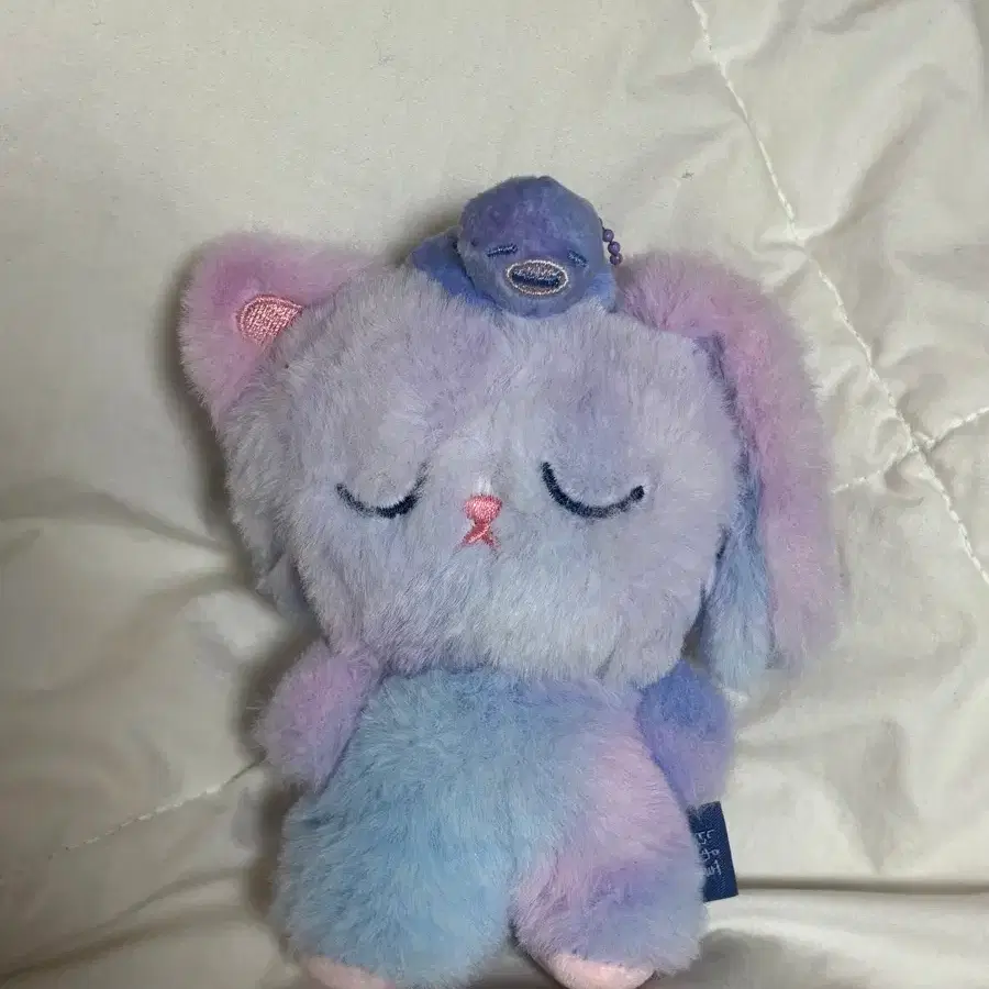 RIIZE | 라이즈 Riize voice keyring Weverse B version Tonnyangdeok