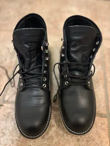 레드윙 8165 아이리쉬 세터 블랙 크롬 플레인토