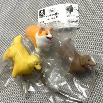 좋은 느낌의 막대를 겟한 개 골든 리트리버 닥스훈트 코기 3개