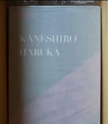 [ 스토 신지테루 ] 킨죠 하루카 1/6 스케일 피규어