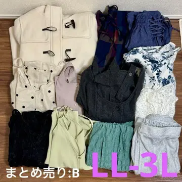 [ LL-3L ] 묶음 판매 빅 사이즈 여성용:B