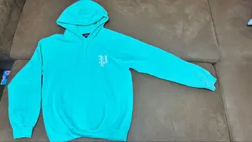 PHATRNK 민트 그린 후드티s