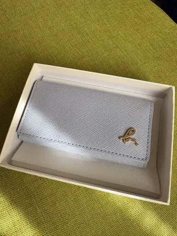 아네스베 키케이스