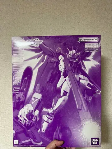 MG 1/100 데스티니 임펄스 건담 R (리지네스)