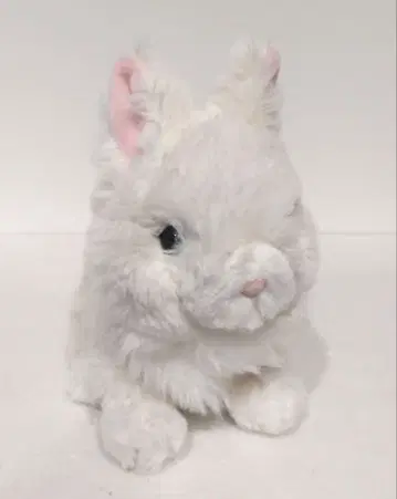 SUN LEMON 봉제 인형 토끼 토끼 화이트 토끼 SUN LEMON