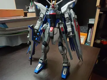 MG 프리덤 건담 Extra Finish Version 조립 완료