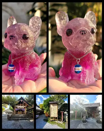 필요한 사람을 분별하고 좋은 사람을 끌어당기는 강아지 오르가나이트