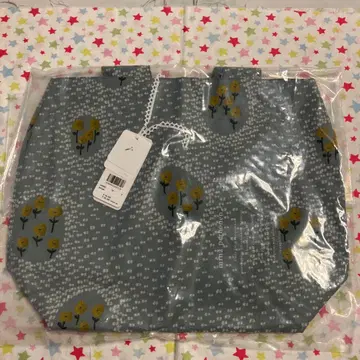 미나 페르호넨 ballade 파니니 백