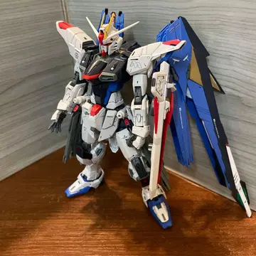 MG 프리덤 ver 2.0 정크 완성품