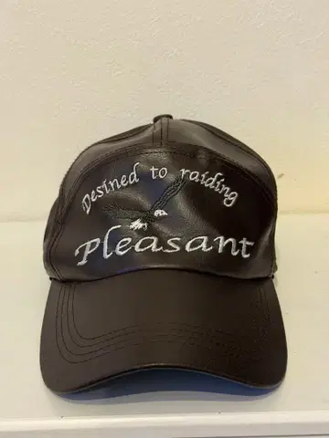 브라운 가죽 자수 트래커 캡 귀마개 구제 의류