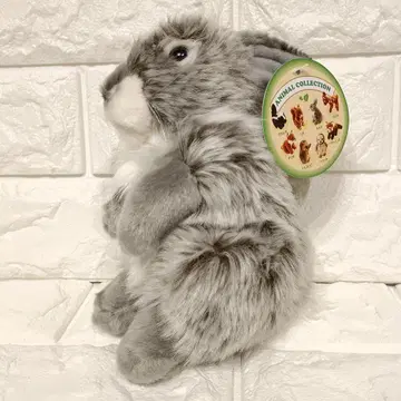 REGALO 레가로 토끼 봉제 인형