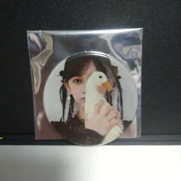 이케다 에레나 개인전 Wings 오리의 꿈 캔뱃지 노기자카46