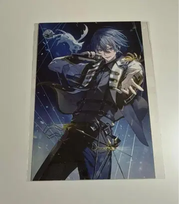 니지산지 코야나기 로우 카드 퍼펙트 원 포커스